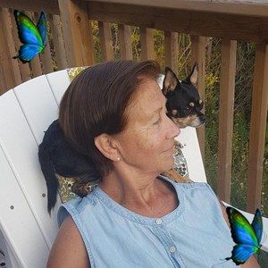 Meet your Posher, Bobbie